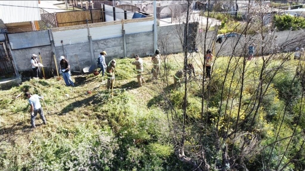 Vecinos, socios de la Agrupación Canal Chacao y voluntarios de otros sectores de la comuna de Quilpué, realizan desmalezado para reforzar el cortafuegos construido el año 2024.
Créditos: Agrupación Canal Chacao
