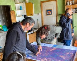 compartir información entre las osc - objetivo bosquentrama, observatorio de los bosque nativos chilenos