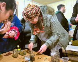 fotalecer capacidades tecnicas y organizacionales - objetivo bosquentrama, observatorio de los bosque nativos chilenos