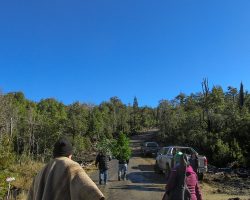 transferir y desarrollar oficios - objetivo bosquentrama, observatorio de los bosque nativos chilenos